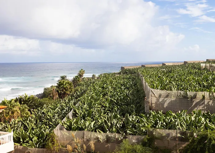 Tenohomes Casa Ela, Charming Garachico Apartman
