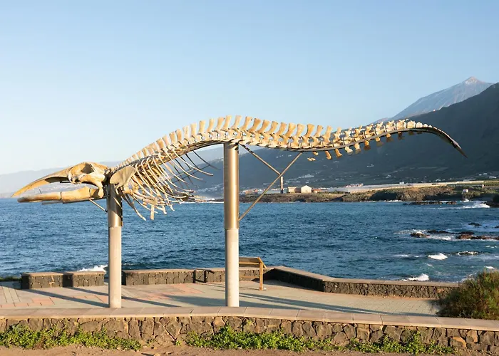 Apartman Tenohomes Casa Ela, Charming Garachico